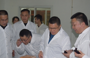 推動(dòng)映山紅計(jì)劃支持海爾思IPO上市，聶副市長(zhǎng)蒞臨海爾思藥業(yè)現(xiàn)場(chǎng)督導(dǎo)解決問(wèn)題